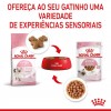 Royal Canin Kitten (Gravy), Gatinhos, Húmidos Alimento