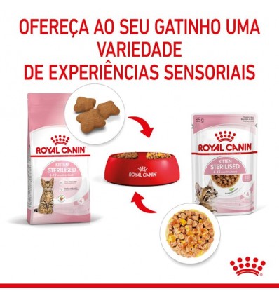 Royal Canin Kitten Sterilised (Jelly), Gatinhos, Húmidos, Alimento