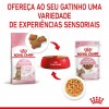 Royal Canin Kitten Sterilised (Jelly), Gatinhos, Húmidos, Alimento