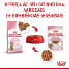 Royal Canin Kitten Sterilised (Gravy), Gatinhos, Húmidos, Alimento