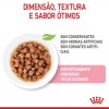 Royal Canin Kitten Sterilised (Gravy), Gatinhos, Húmidos, Alimento