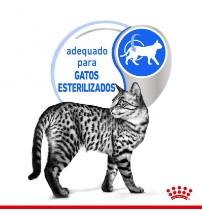 Royal Canin Gatos Sterilised (Gravy), Gatos, Húmidos, Adulto, Alimento