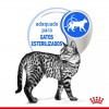 Royal Canin Gatos Sterilised (Gravy), Gatos, Húmidos, Adulto, Alimento