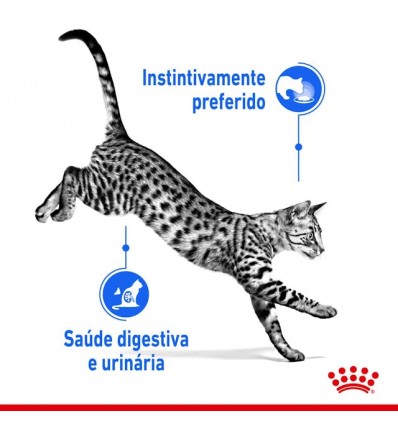 Royal Canin Gatos Sterilised (Gravy), Gatos, Húmidos, Adulto, Alimento