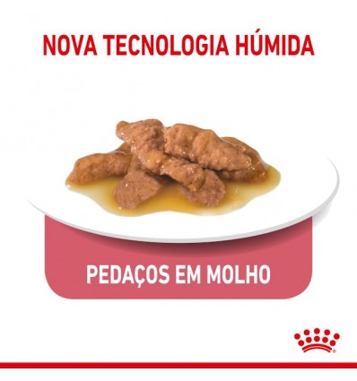 Royal Canin Gatos Sterilised (Gravy), Gatos, Húmidos, Adulto, Alimento