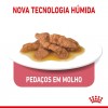 Royal Canin Gatos Sterilised (Gravy), Gatos, Húmidos, Adulto, Alimento