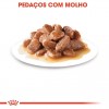 Royal Canin Gatos Sterilised (Gravy), Gatos, Húmidos, Adulto, Alimento