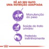 Royal Canin Gatos Sterilised (Gravy), Gatos, Húmidos, Adulto, Alimento