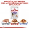 Royal Canin Gatos Sterilised (Jelly), Gatos, Húmidos, Adulto, Alimento