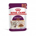 Royal Canin Sensory Taste, Gatos, Húmidos, Adultos, Alimento