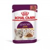 Royal Canin Gatos Ageing +12 Húmidos Saquetas 85g x 12uni.