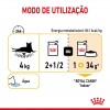 Royal Canin Gatos Ageing +12 Húmidos Saquetas 85g x 12uni.