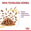 Royal Canin Gatos Ageing +12 Húmidos Saquetas 85g x 12uni.