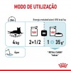 Royal Canin Gatos Ageing +12 Húmidos Saquetas 85g x 12uni.