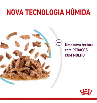 Royal Canin Gatos Ageing +12 Húmidos Saquetas 85g x 12uni.