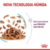 Royal Canin Gatos Ageing +12 Húmidos Saquetas 85g x 12uni.