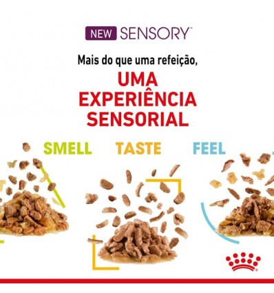 Royal Canin Gatos Ageing +12 Húmidos Saquetas 85g x 12uni.