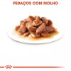 Royal Canin Gatos Ageing +12 Húmidos Saquetas 85g x 12uni.