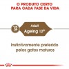 Royal Canin Gatos Ageing +12 Húmidos Saquetas 85g x 6 uni.