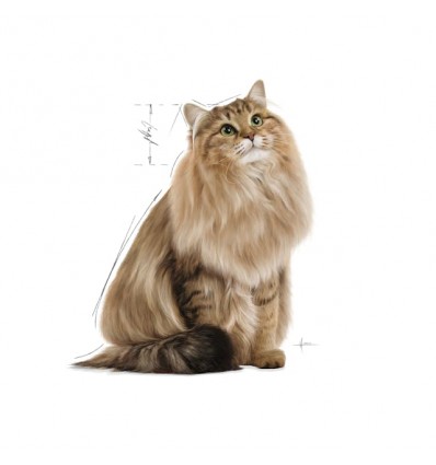 Royal Canin Gatos Ultra Light Húmidos Saquetas 85g x 12uni.