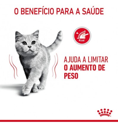 Royal Canin Ultra Light (Jelly), Gatos, Húmidos, Adulto, Alimento