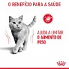 Royal Canin Ultra Light (Jelly), Gatos, Húmidos, Adulto, Alimento