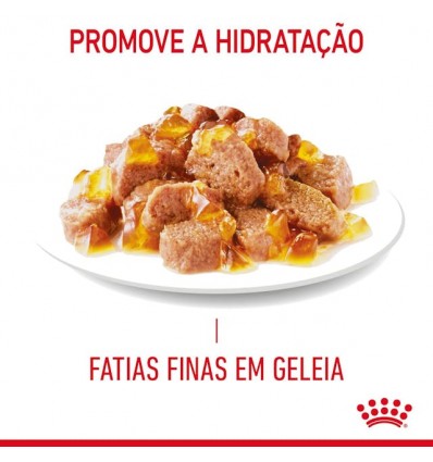 Royal Canin Ultra Light (Jelly), Gatos, Húmidos, Adulto, Alimento