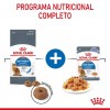Royal Canin Ultra Light (Jelly), Gatos, Húmidos, Adulto, Alimento