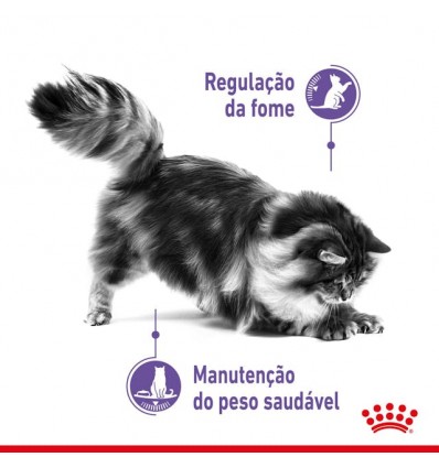 Royal Canin Appetite Control , Gatos, Húmidos, Adulto, Alimento/Ração