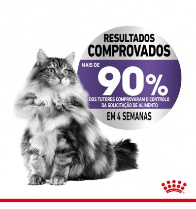 Royal Canin Appetite Control , Gatos, Húmidos, Adulto, Alimento/Ração
