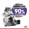 Royal Canin Appetite Control , Gatos, Húmidos, Adulto, Alimento/Ração