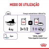 Royal Canin Appetite Control , Gatos, Húmidos, Adulto, Alimento/Ração