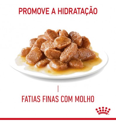 Royal Canin Gatos Digestive Sensitive Húmidos Saquetas 85g x 12uni.