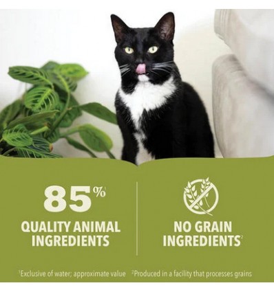 Acana Gato húmidos atum com frango