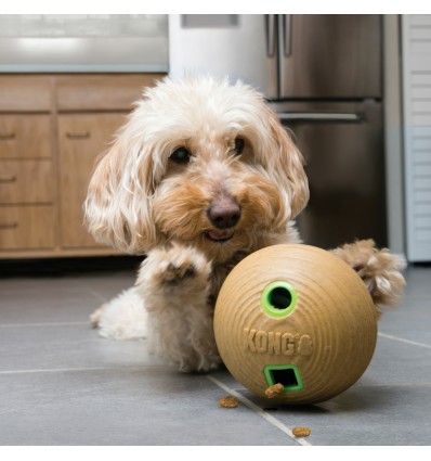 Kong Bamboo Feeder Ball - Medium (PTB21E)