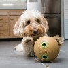 Kong Bamboo Feeder Ball - Medium (PTB21E)