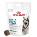Royal Canin Cão Suplemento Joint & Ageing Chews 240gr