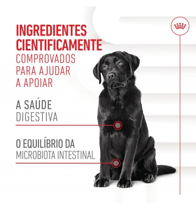 Royal Canin Cão Suplemento Digestion Adulto Chews 160gr