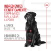 Royal Canin Cão Suplemento Digestion Adulto Chews 160gr