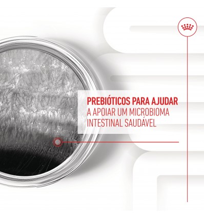 Royal Canin Cão Suplemento Digestion Adulto Chews 160gr