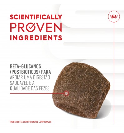 Royal Canin Cão Suplemento Digestion Adulto Chews 160gr