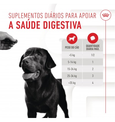 Royal Canin Cão Suplemento Digestion Adulto Chews 160gr