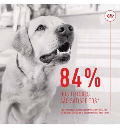 Royal Canin Cão Suplemento Digestion Adulto Chews 160gr