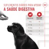 Royal Canin Cão Suplemento Immunity Digestion Puppy Chews 100gr