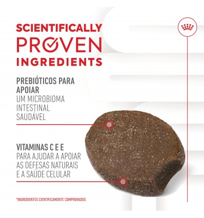 Royal Canin Cão Suplemento Immunity Digestion Puppy Chews 100gr