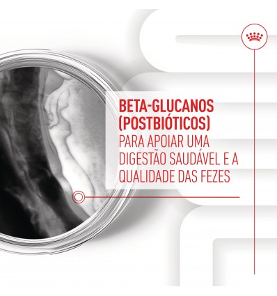 Royal Canin Cão Suplemento Immunity Digestion Puppy Chews 100gr