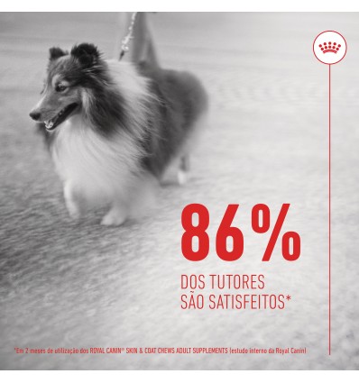 Royal Canin Cão Suplemento Skin & Coat Chews 240gr