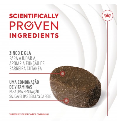 Royal Canin Cão Suplemento Skin & Coat Chews 240gr