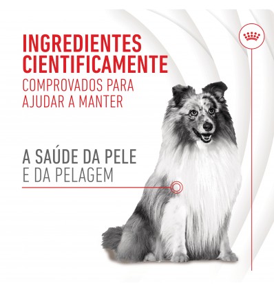 Royal Canin Cão Suplemento Skin & Coat Chews 240gr