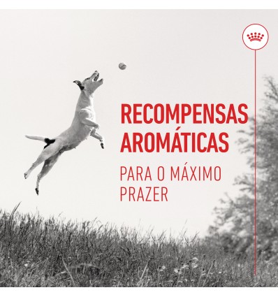 Royal Canin Cão Training Treats Educ 110gr